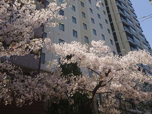 Exterior detail - The Royal Park Hotel Hiroshima RiverSide (Hiroshima)