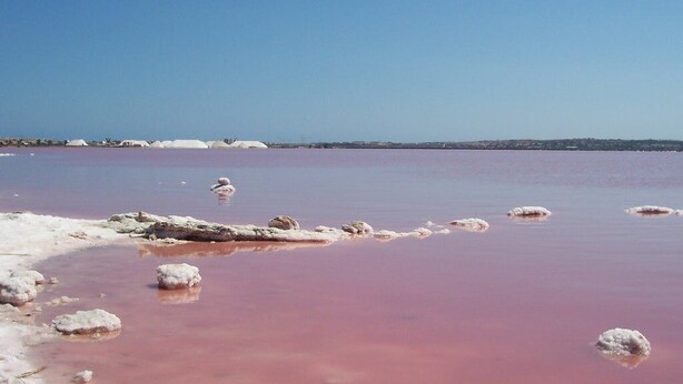 A salt flat with pink water and white salt formations. - cozy apartment with 140m terrace with private pool (Torrevieja)