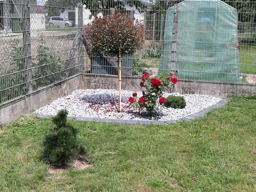 Alice bei Rust, in der Nähe vom EUROPA-Par, 4 km