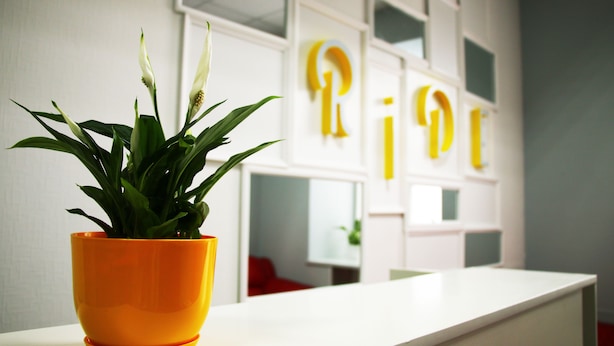 Une plante en pot est posée sur une table blanche dans une pièce moderne, avec un mur blanc et un panneau jaune portant les lettres « P » et « I  ».