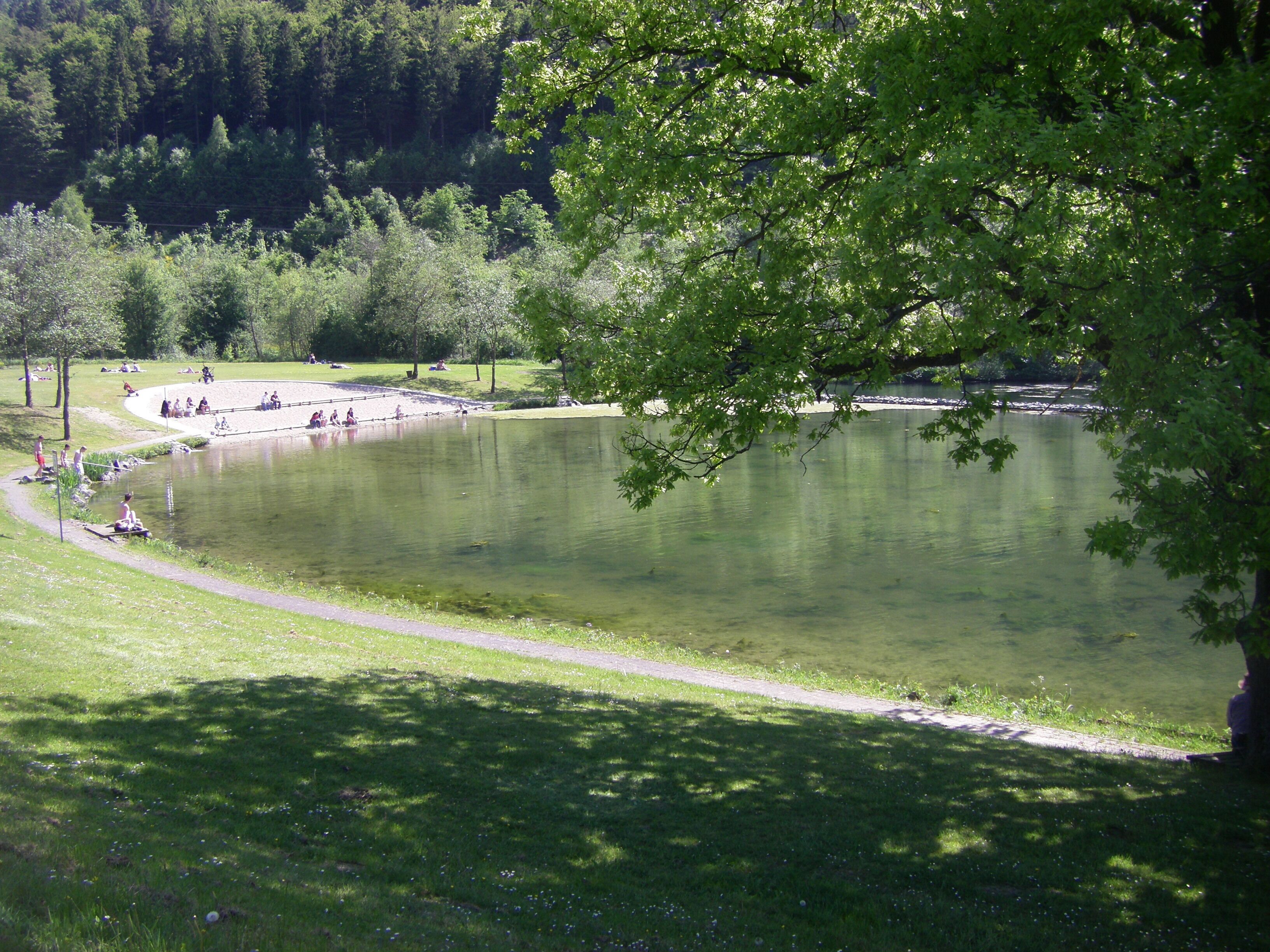 A park with a pond, grassy areas, and trees.