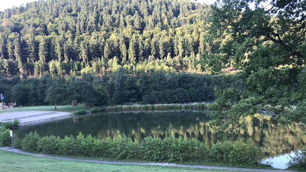 A tranquil lake surrounded by lush greenery and a forested hill.
