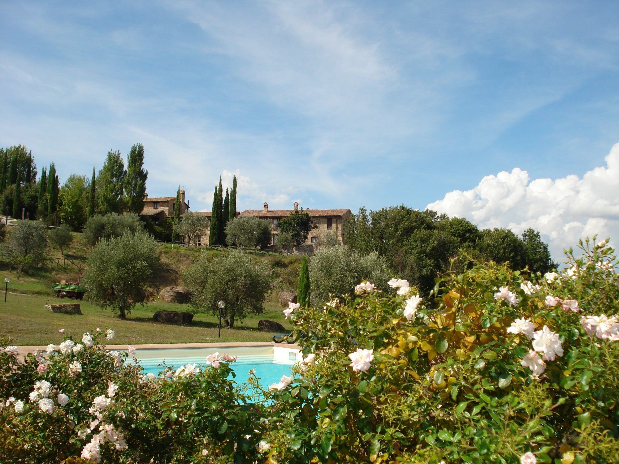 A villa with a swimming pool, surrounded by lush greenery and trees.