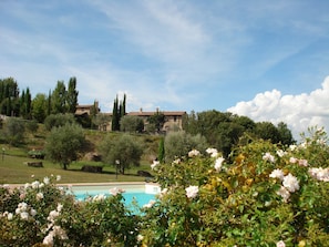 Garden - Agriturismo Santa Maria (San Venanzo)
