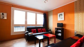 TV, DVD player, books, video library