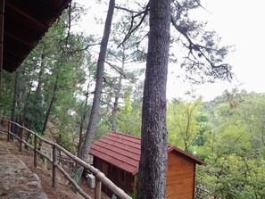 Exterior - Camping la Eliza (Lanzahita)