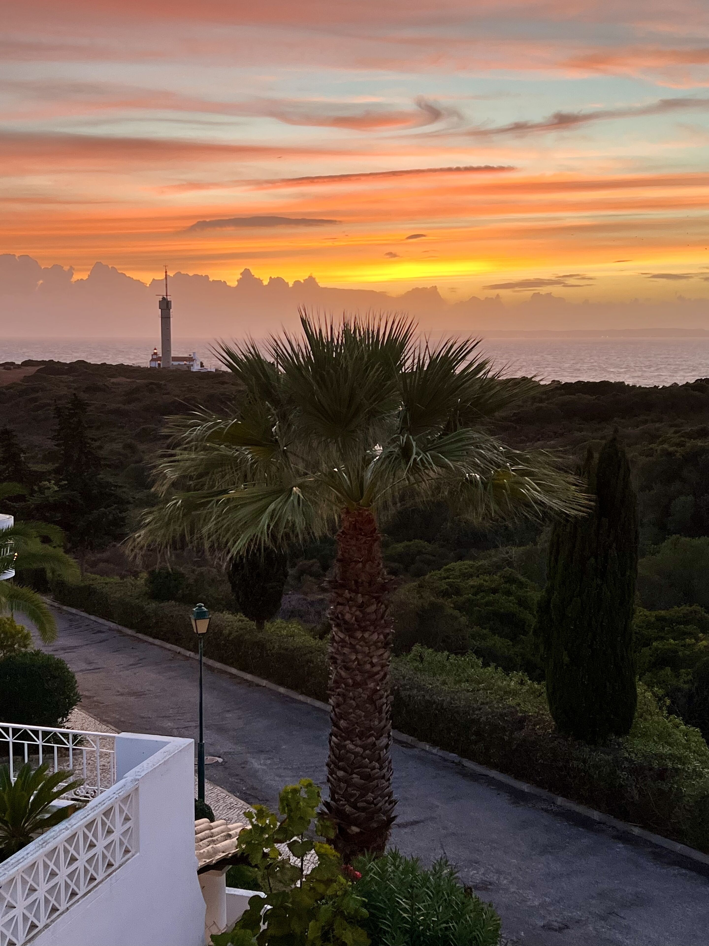 Vista costera con una palmera, un faro y una carretera que conduce a un edificio blanco.