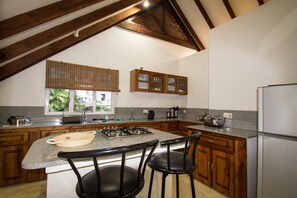 Réfrigérateur, four, plaque de cuisson, bouilloire électrique