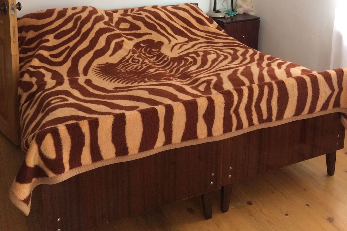 A bed with a zebra print blanket, a bedside table with a lamp, and a wall with a framed picture.