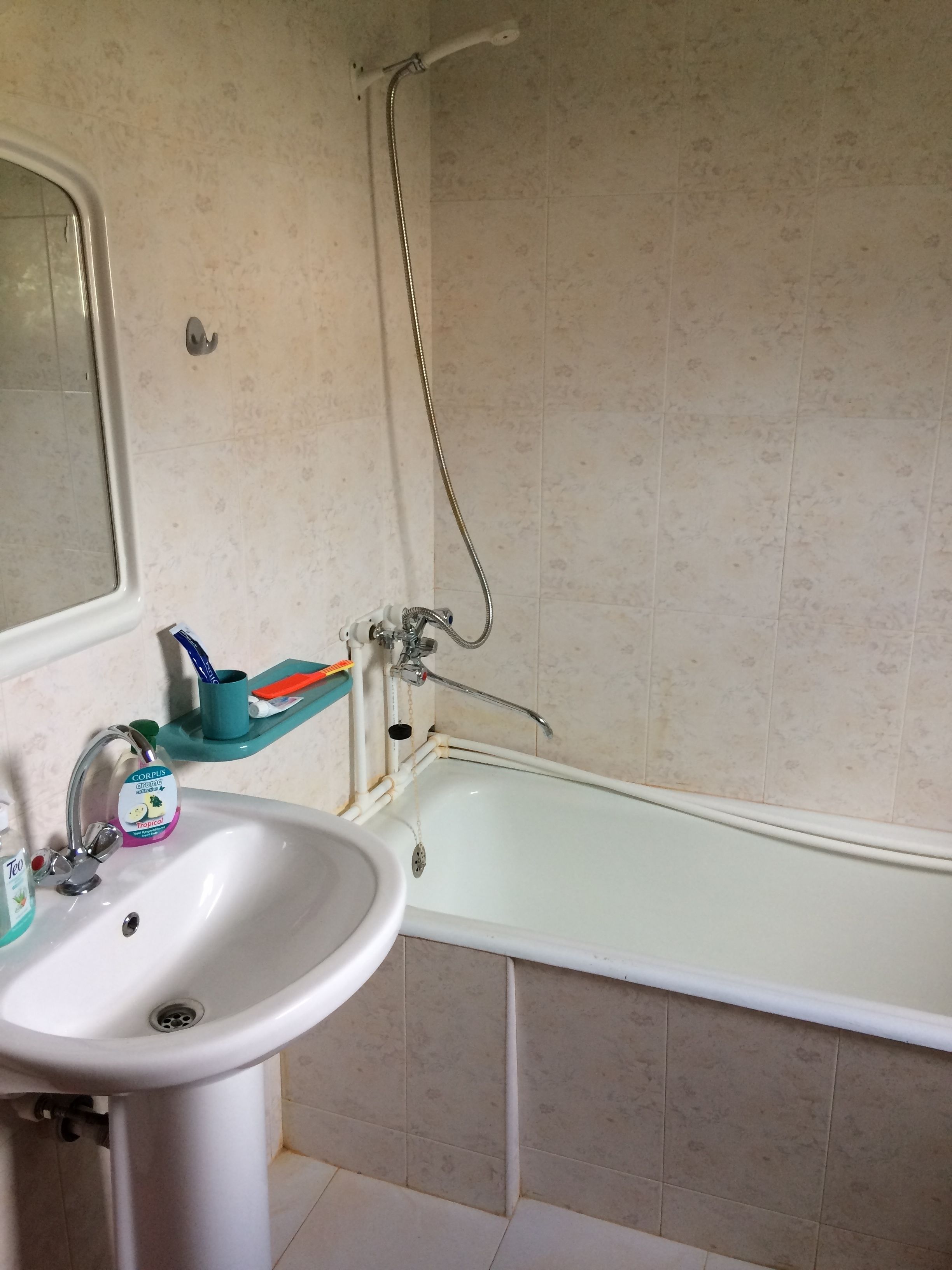 Separate bathtub and shower, free toiletries, hair dryer, slippers