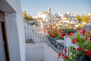 Double Room, City View | Balcony view