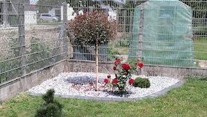 Ein Garten mit einem kleinen Baum und roten Blüten, umgeben von einem Metallzaun und einer grünen Netzkonstruktion.