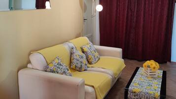 TV, lettore DVD, libri