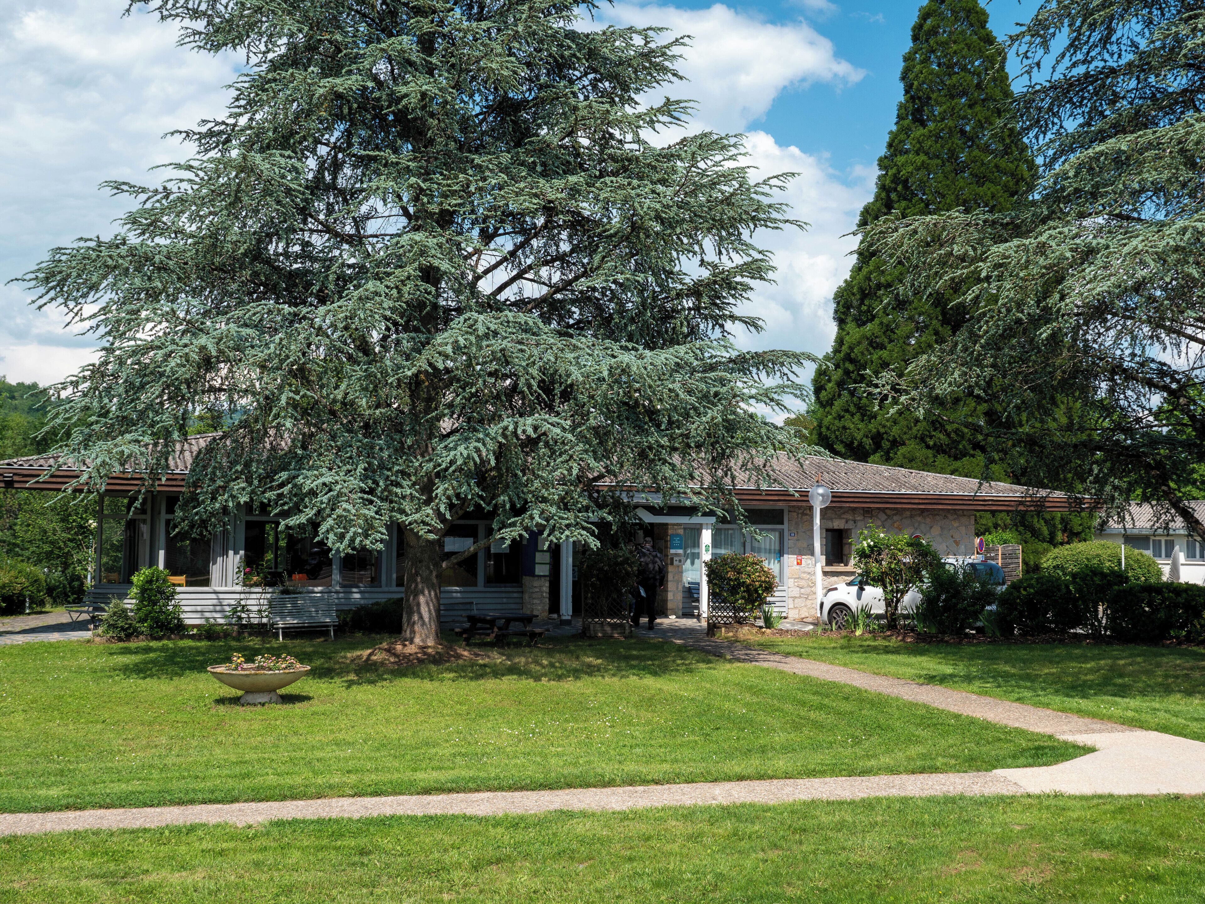 Una casa con un gran árbol en frente, un patio de piedra y un camino que lleva a la entrada.