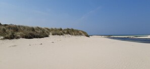 Una playa arenosa con dunas y un cielo despejado.
