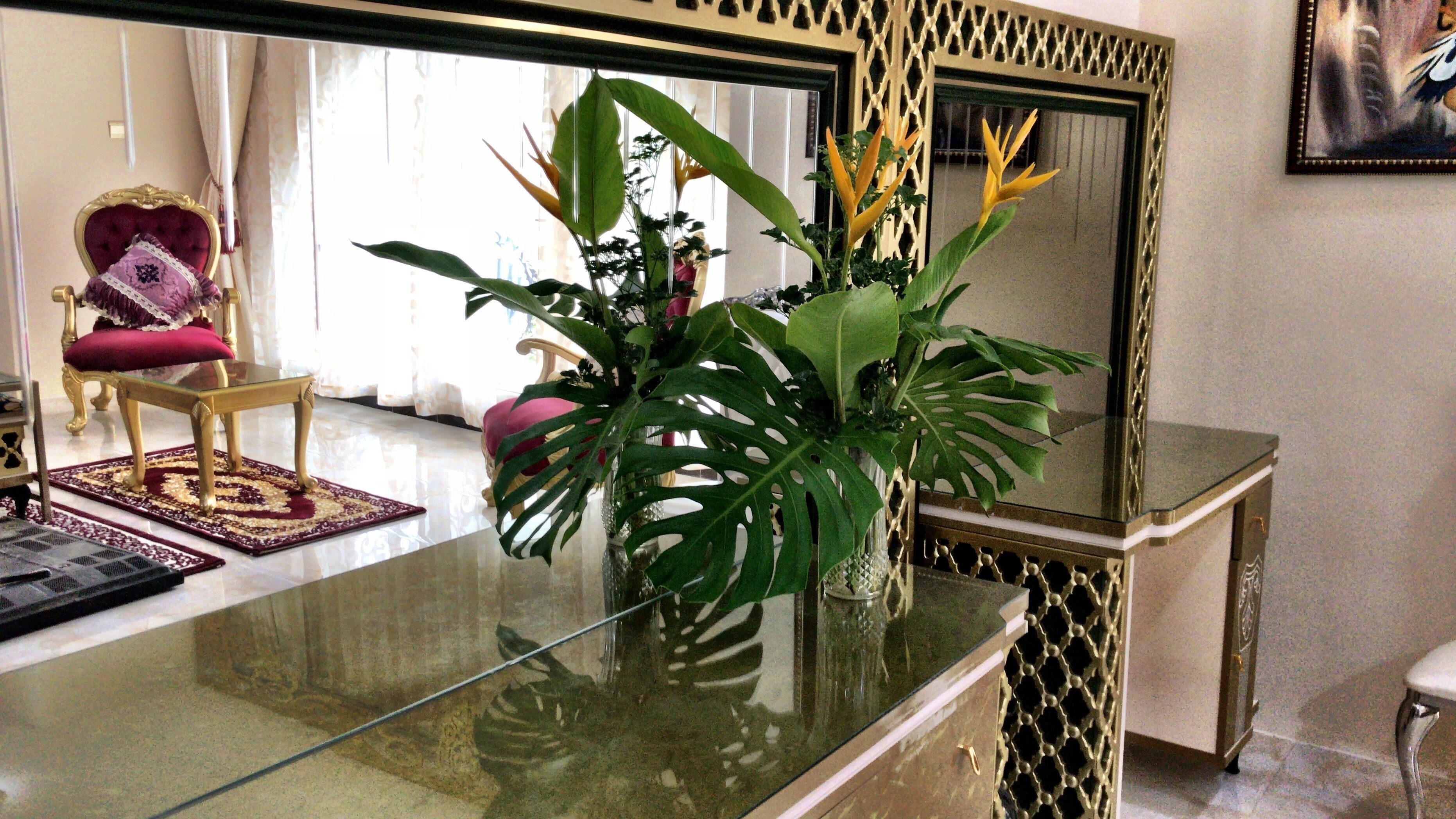 Una habitación con una mesa de vidrio, una planta en maceta, una silla roja y un espejo en la pared.