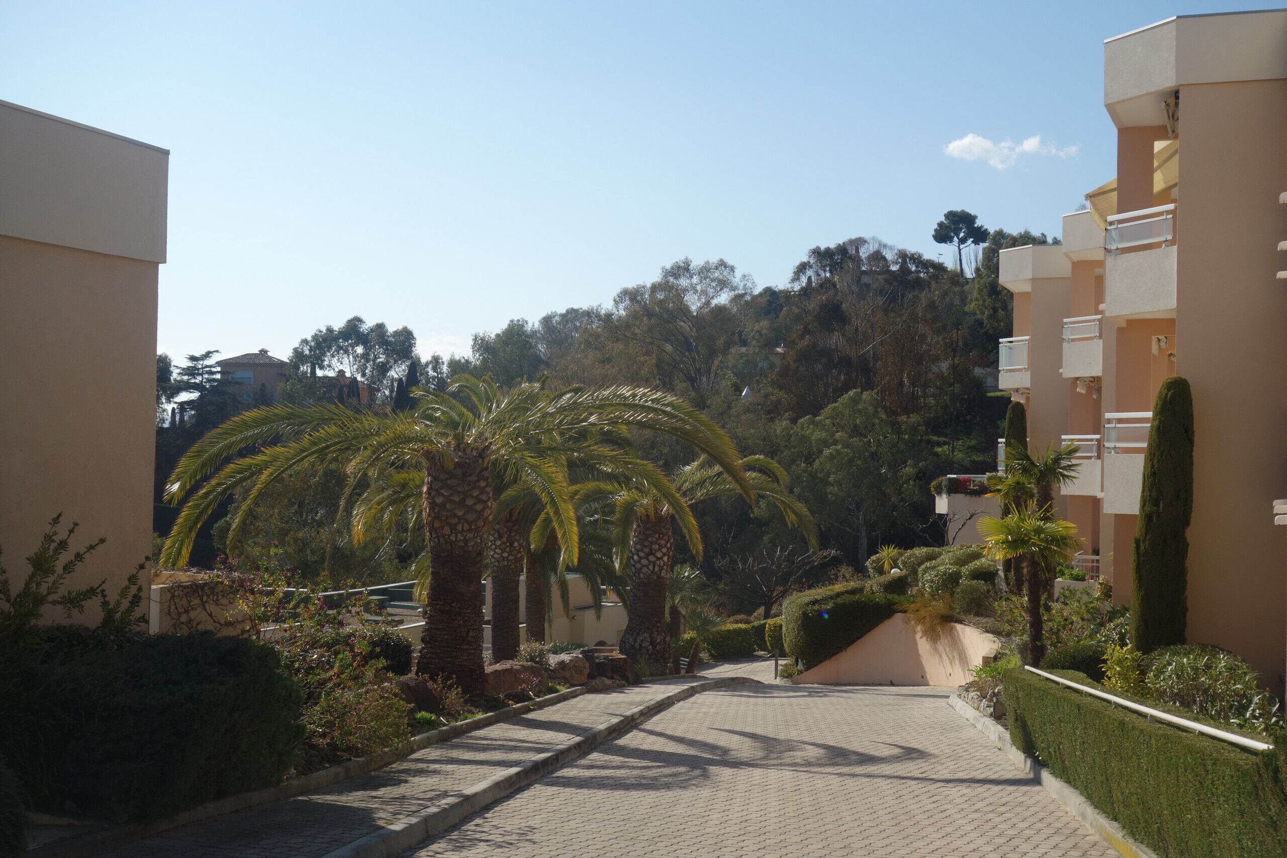 Un chemin pavé mène à un bâtiment doté d’un balcon, qui est entouré de palmiers et de verdure.
