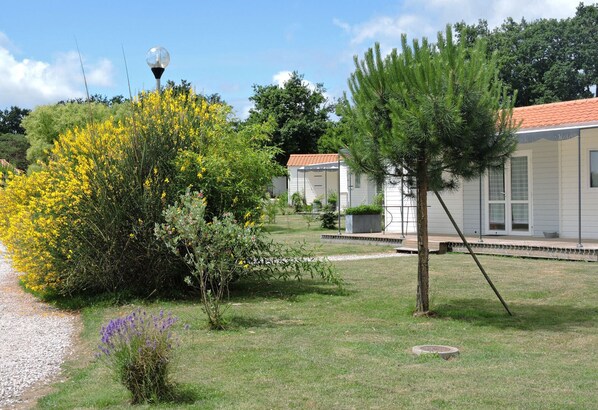 A grassy area with a small tree, a yellow flowering bush, and a white building with a red roof.
