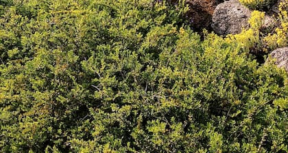 Vermietung eines unabhängigen Ferienhauses an der elsässischen Weinstraße