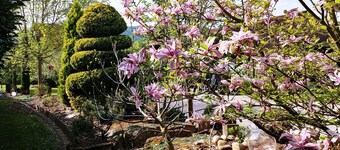 アルザスワイン街道の独立コテージのレンタル