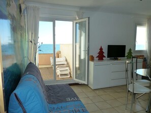 Télévision, lecteur de DVD, livres