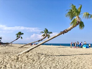 Une plage avec des palmiers et des gens.