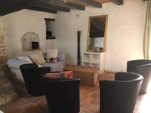 TV, fireplace, table tennis, books