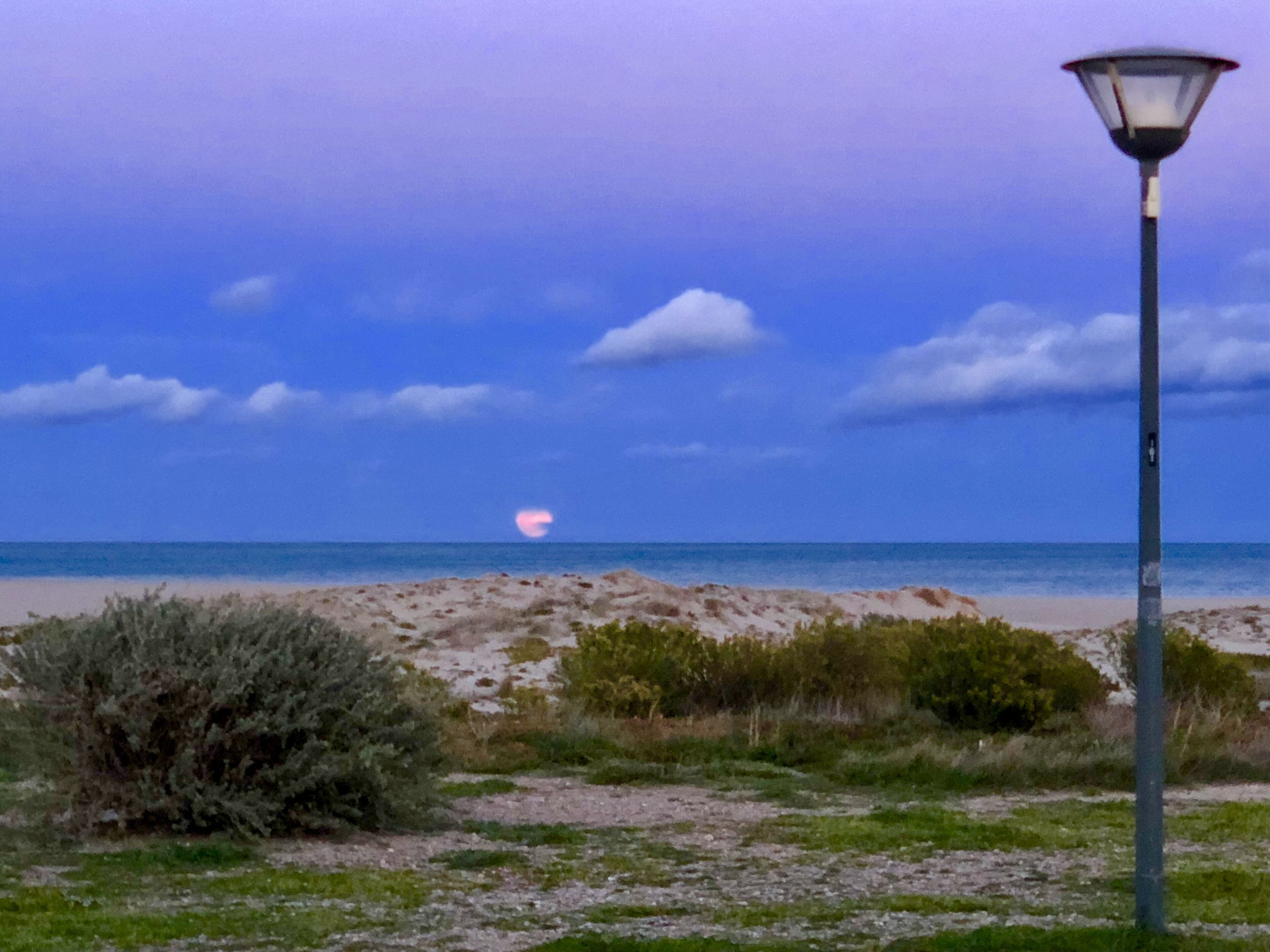 A beach scene with a lamp post and sparse vegetation.