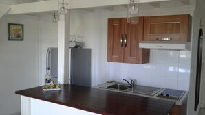 A kitchen with wooden cabinets, a stainless steel sink, and a built-in oven. - Nice duplex in Saint François in Guadeloupe (Saint François)