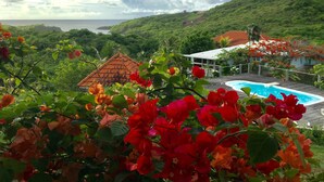 Üppige Landschaft mit einem Swimmingpool, einem Haus mit rotem Dach und dichter Bepflanzung.