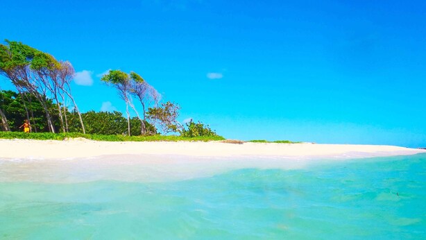 Ein Strand mit klarem türkisblauem Wasser, weißem Sand und wenig Vegetation.