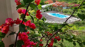 Ein Poolbereich mit Blick auf eine Hügelkulisse und ein Gebäude im Hintergrund.