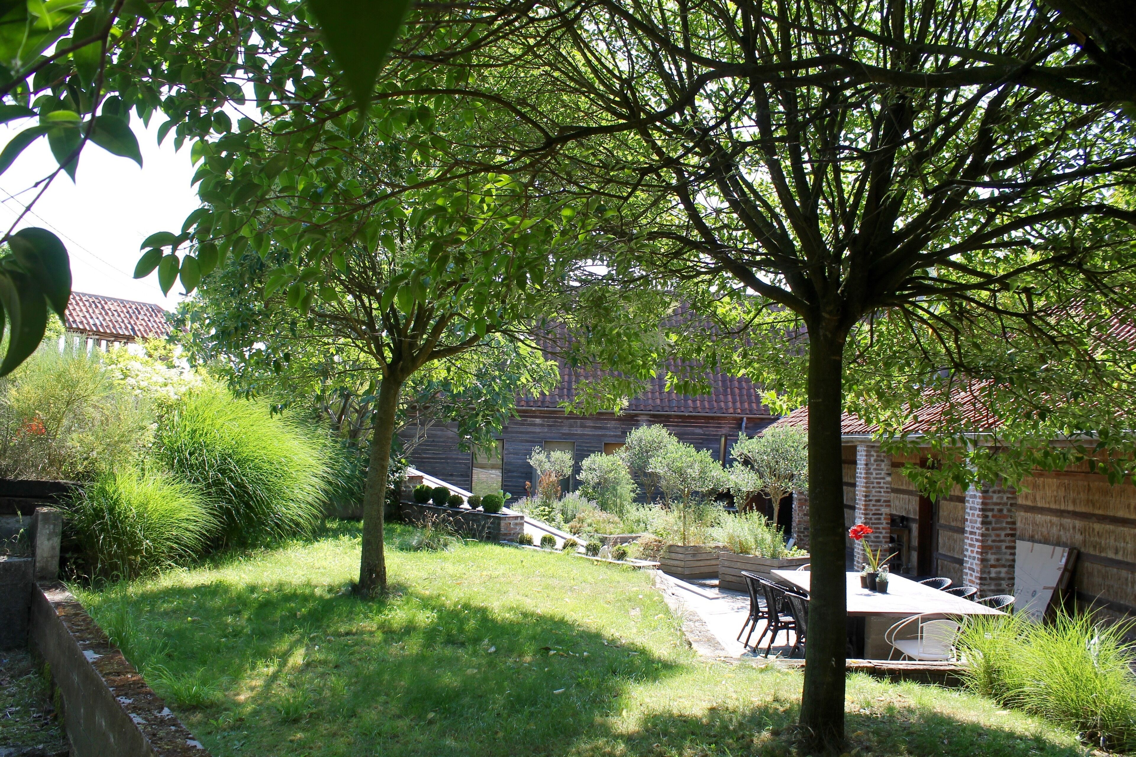 Le jardin