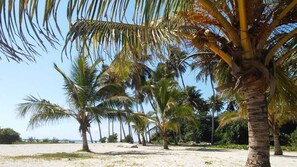 Playa