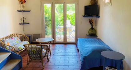 Location climatisée, piscine, jardin clÎturé , chiens acceptés, wifi, parking