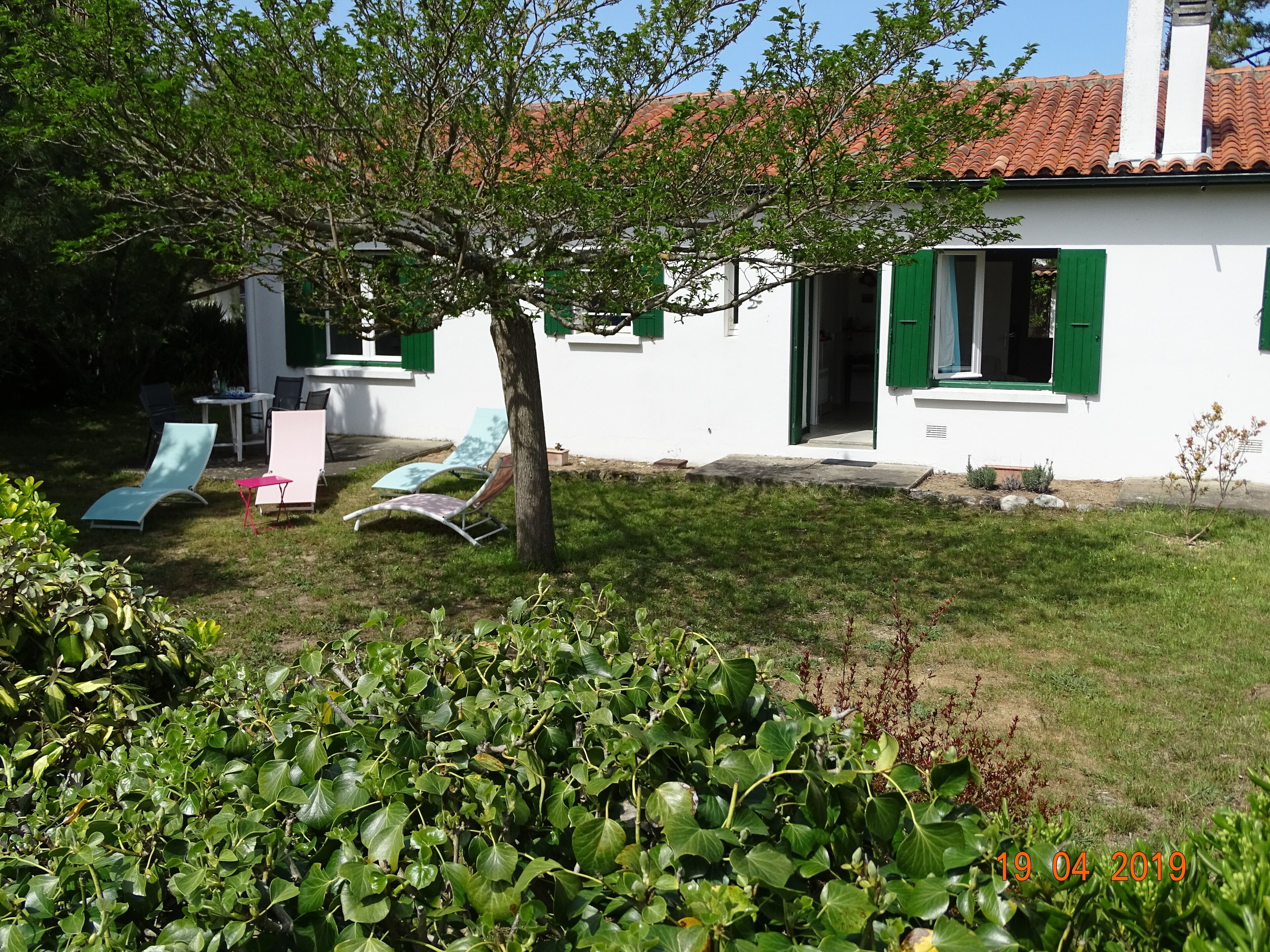 A white building with green shutters, a tree, and outdoor seating.