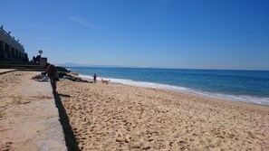 Playa en los alrededores 
