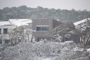 Un edificio moderno con techo plano, rodeado de árboles y vegetación nevada.