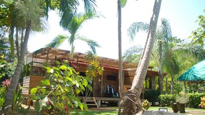 A wooden house with a porch, surrounded by palm trees and tropical plants.