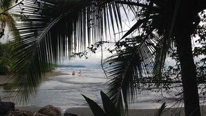 A beach with palm trees, rocky shore, and calm sea.