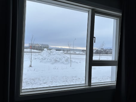 Vista desde la habitación