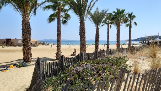 Una playa con palmeras, una valla de madera y una zona arenosa con equipo de playa.