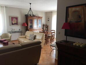 TV, fireplace, video games, books
