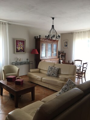 Télévision, cheminée, jeux vidéo, livres