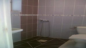 Shower - Character house in the heart of the Loire Castles (Chailles)