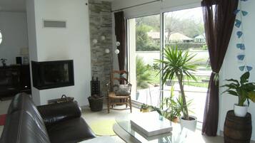 Fernseher, Kamin, Videospiele, DVD-Player