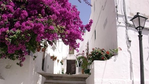 A narrow white-walled street with a staircase leading to a building entrance.
