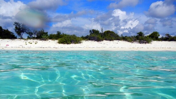Une plage à l’eau turquoise et limpide, bordée de sable blanc, et entourée de verdure et d’arbres.