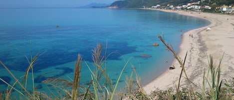 En la playa, playa de arena blanca y sombrillas 