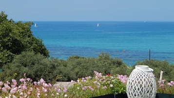Villa Palmina | Teras/patio